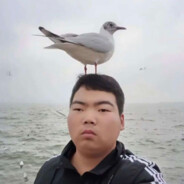 去码头整点薯条