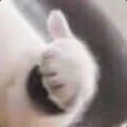 猪蛋蛋又来咯丶