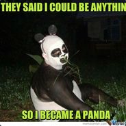 PandaLover avatar