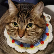 双层劲脆吉士汉堡