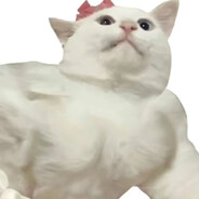 50/30吃人男不帅别来