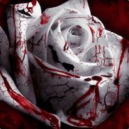 Bloody Rose