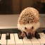 DumpyBreadhog