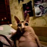 ilata - steam id 76561199211080544