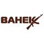 ванек киберспорт