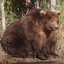 BIG BOBER KURWA