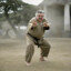 Mujica KungFu