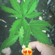 💫3a4eM_MHE_HuK💫