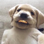 Liquid的EliGE本人