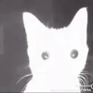 Axint3 - steam id 76561199156436960