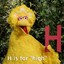thebird