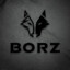 BorzoY