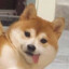 CYing