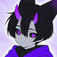 SethXFox