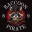 RaccoonPirate89