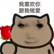 玩法棍的芝士雪豹