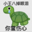 纯情少年没事就导