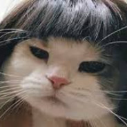 ส้มหยุดดดด