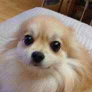 ROZKMINKAッ's avatar
