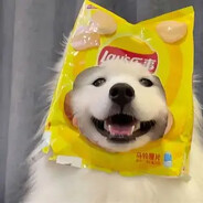 翻斗花园胡英俊