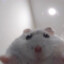 debil1