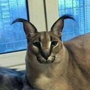 КОРОЛЬ МИНЕТА