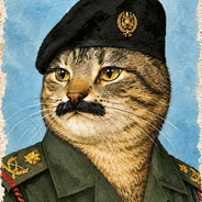 SADDAM MEOWSEIN