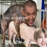 厉不厉害你鲲哥