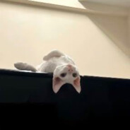 差亿点长成帅哥