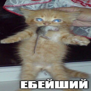 типок