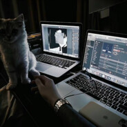 染山 染水 染花落.