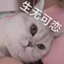 张老六