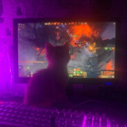 БТ || Яростный