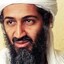 Bin Laden