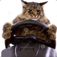 matew - steam id 76561197960504882