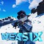 Weasix