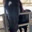 wise and all knowing horse