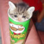 TinyPringlesCan