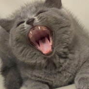 收起你的遗憾入睡