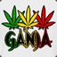 Ganja