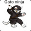 ÉGatoMesmo? Gato Ninja