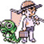 Bug Catcher