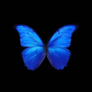 aranoia - steam id 76561199774311350