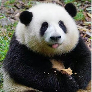 轻易不说话