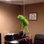 Kermit fucking suicide