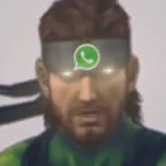WhatsApp snake