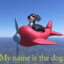 Wisdom Seeking Flying Dog