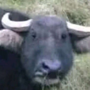 AAA专业砌墙抹灰