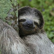 吃土少年陈蛤蛤