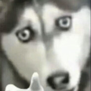 你不要给我哇哇叫